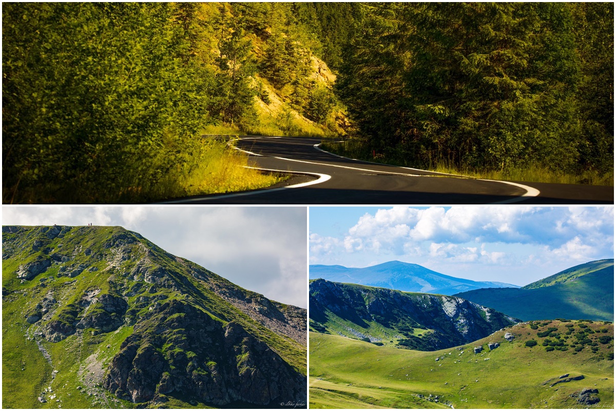 Pe urmele Transalpinei | Natura, natura și...